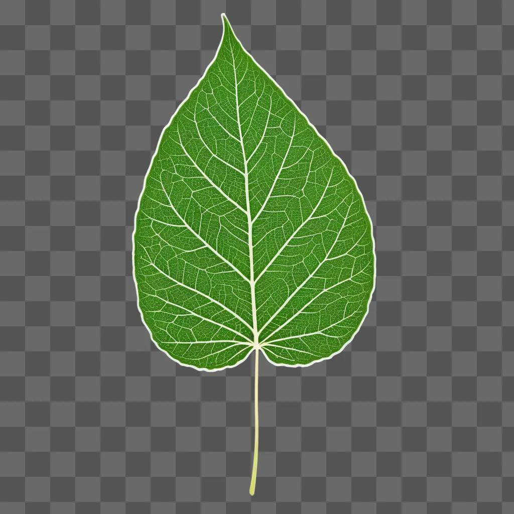 Leaf drawing on green background with light glowing