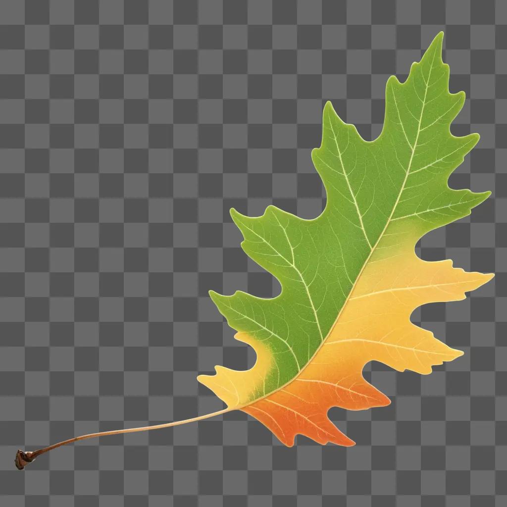 Leaf falling with yellow and orange hues