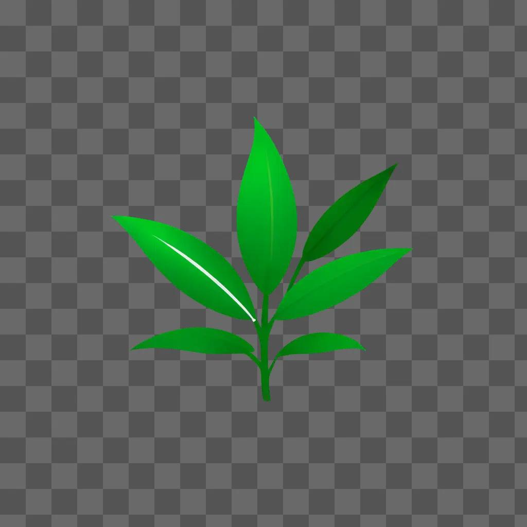 Leafy plant clipart on a green background