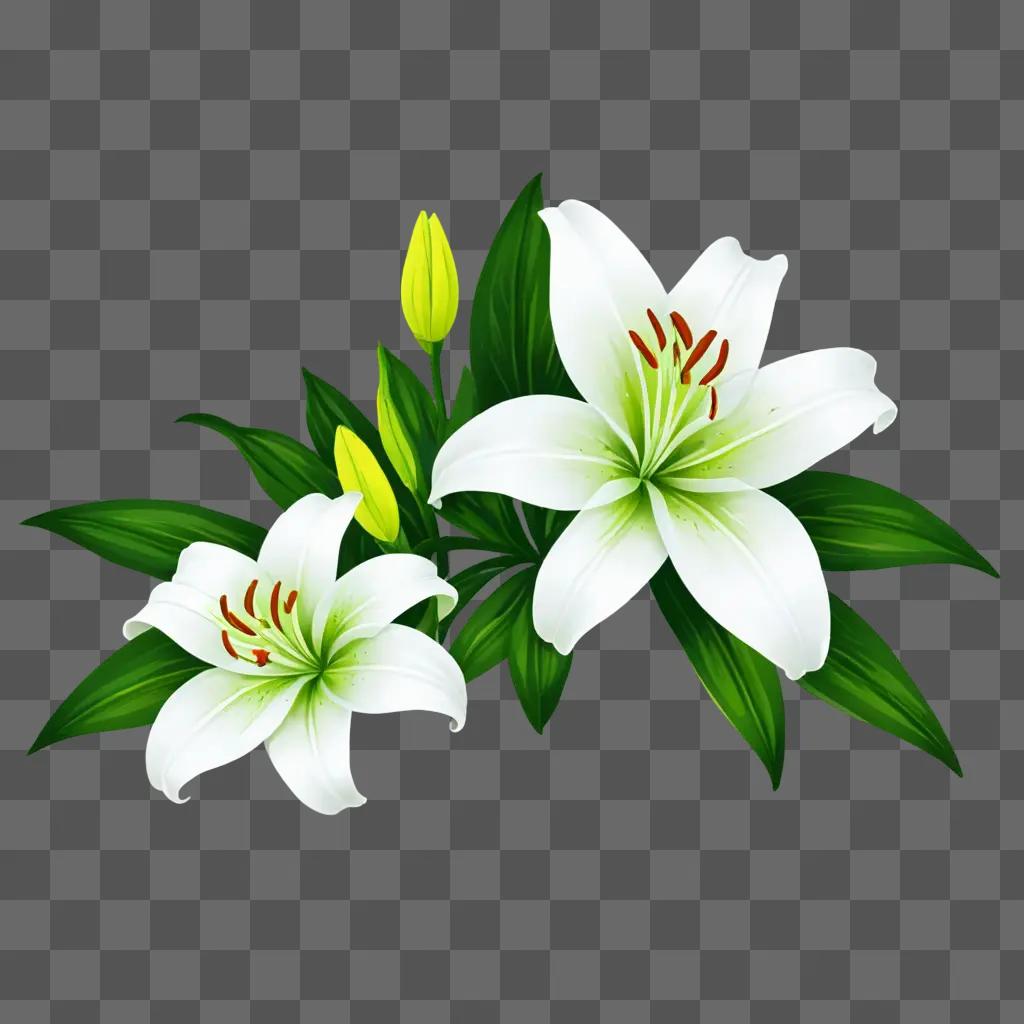 Lily flower drawing on a green background