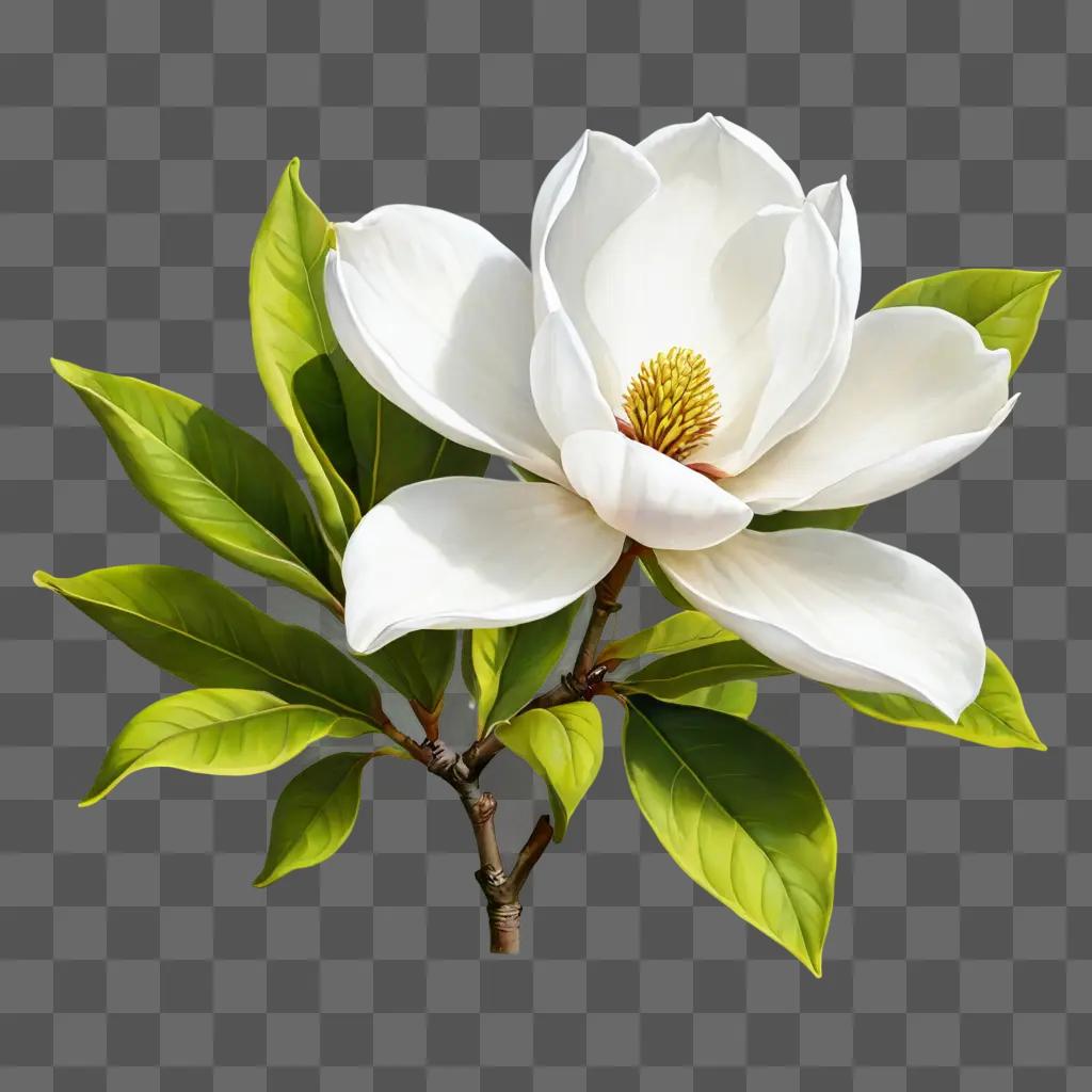 Magnolia drawing with green leaves on a green background