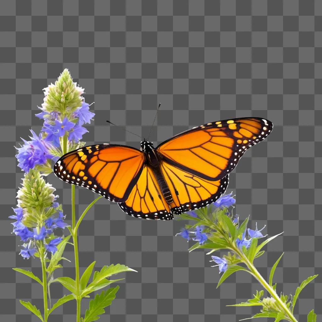 Monarch Butterfly is resting on a flower