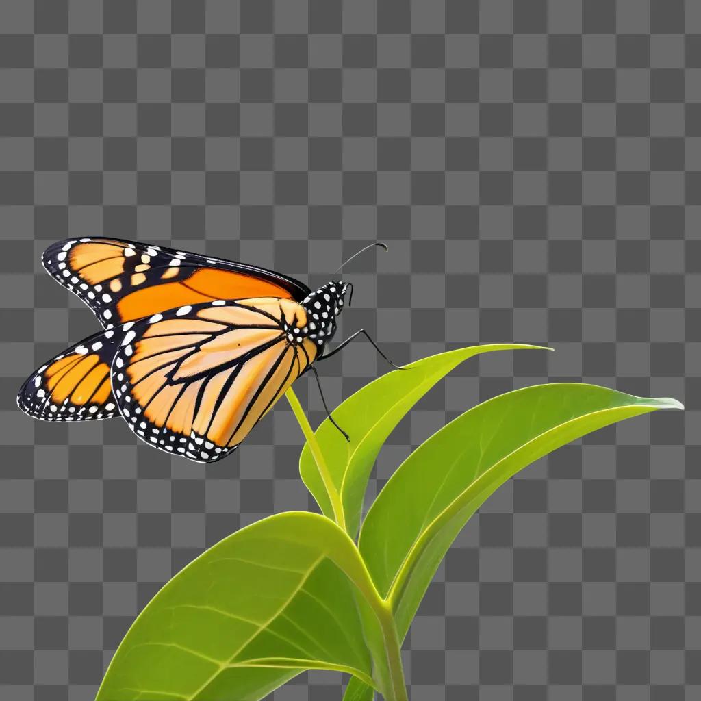 Monarch butterfly on a leaf with a blurred background