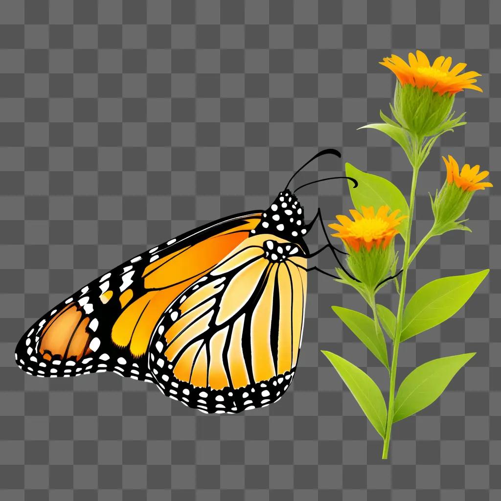 Monarch butterfly on a yellow flower with a green background