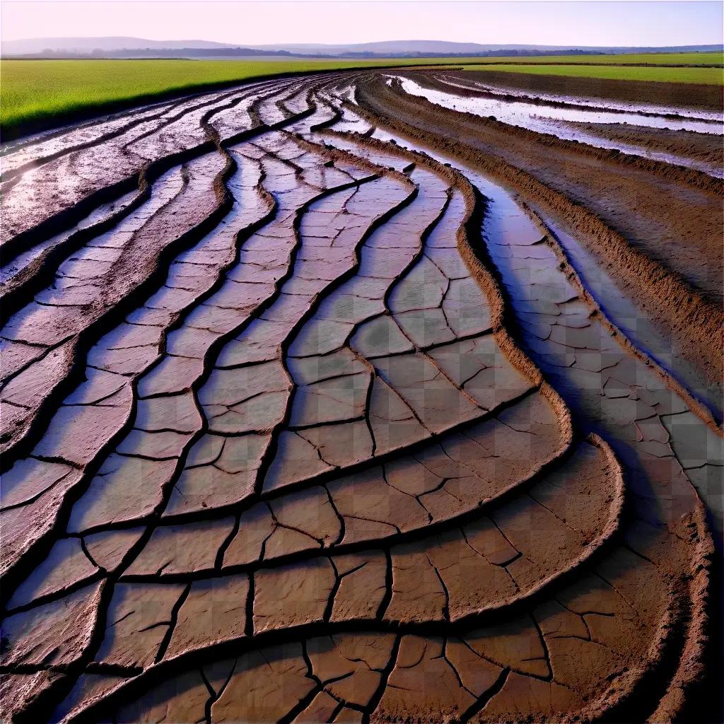 Muddy, rippled, uneven road in field with grass