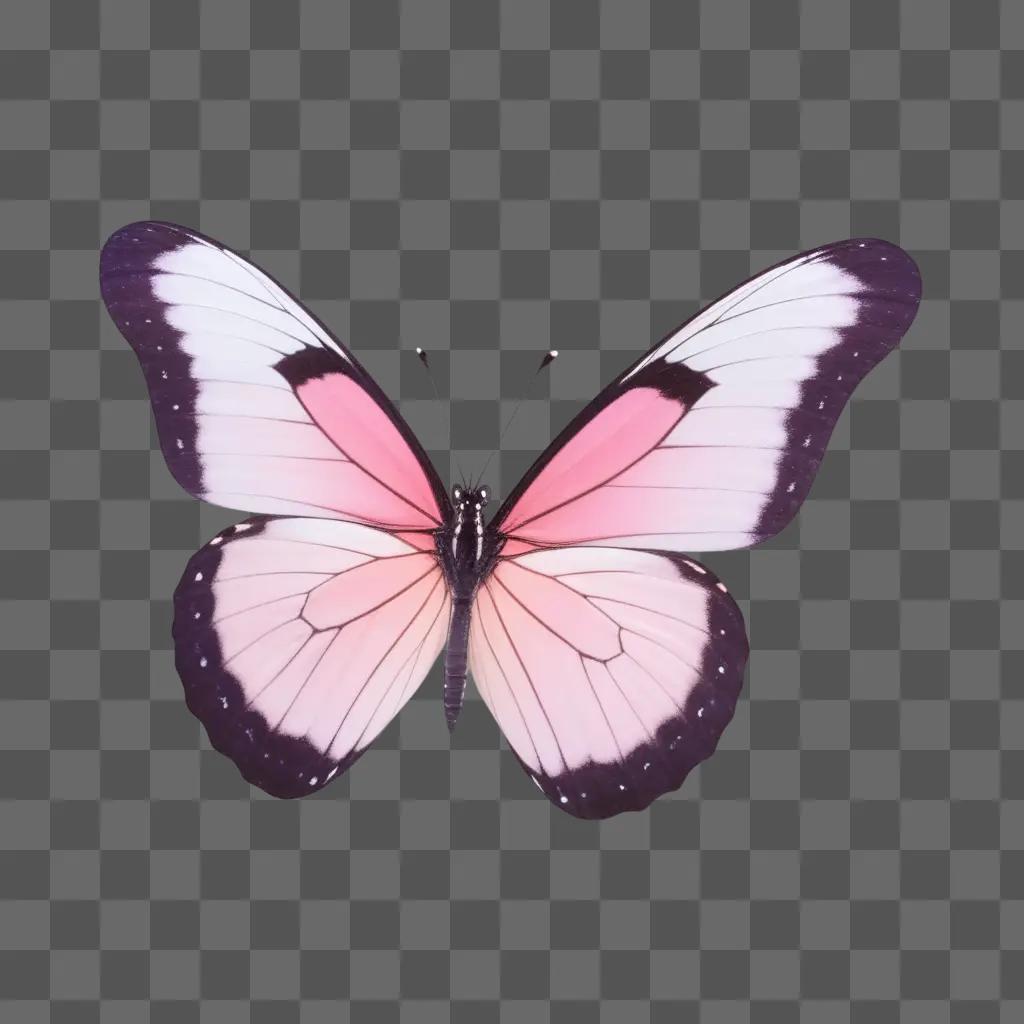 Pink butterfly with black wings on a purple background