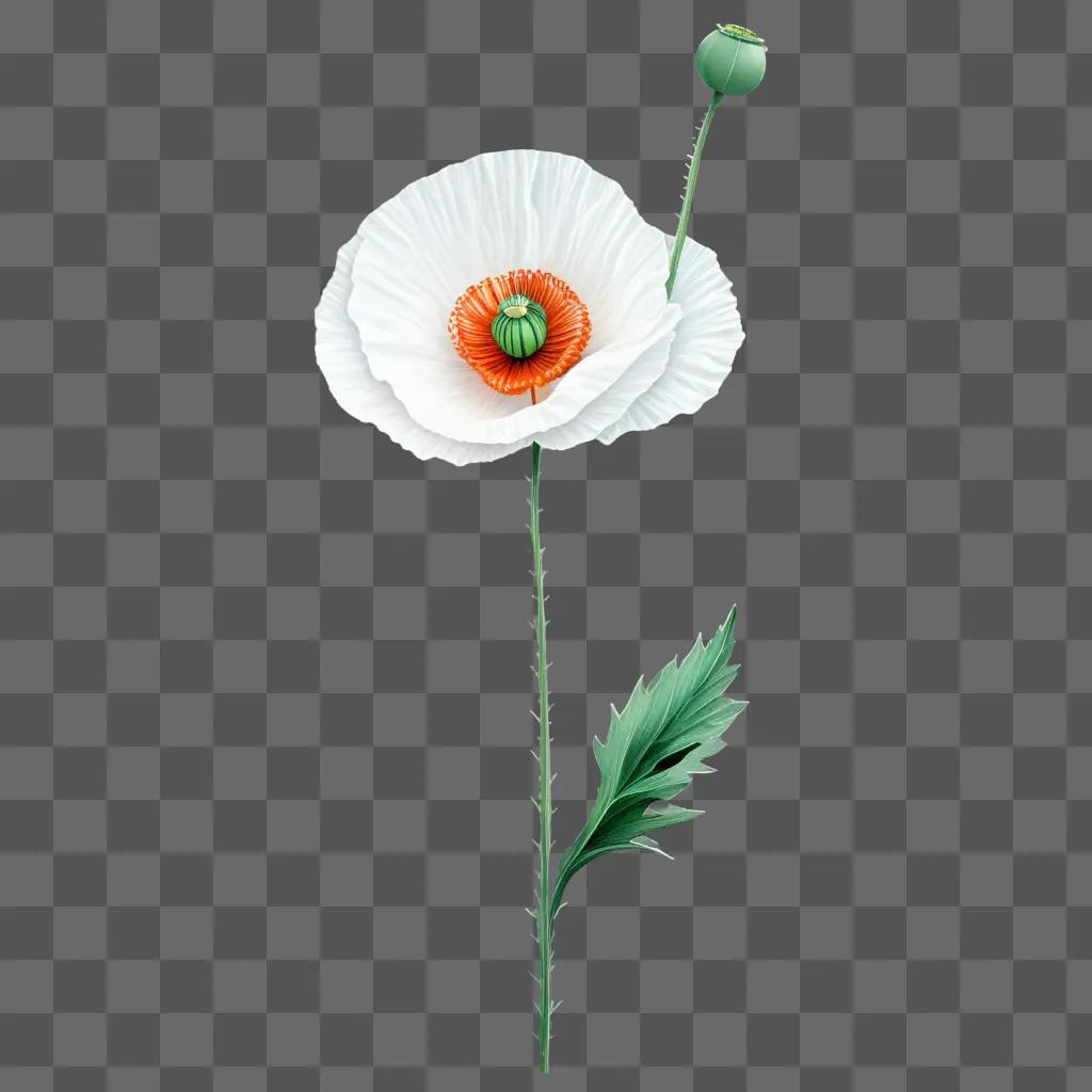 Poppy drawing with leaf and stem