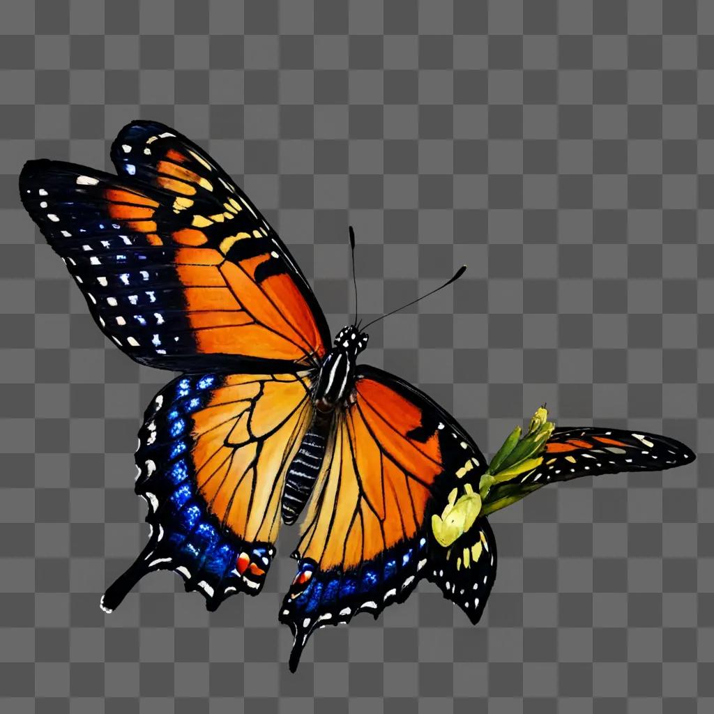 Realistic butterfly drawing of a monarch butterfly on a flower