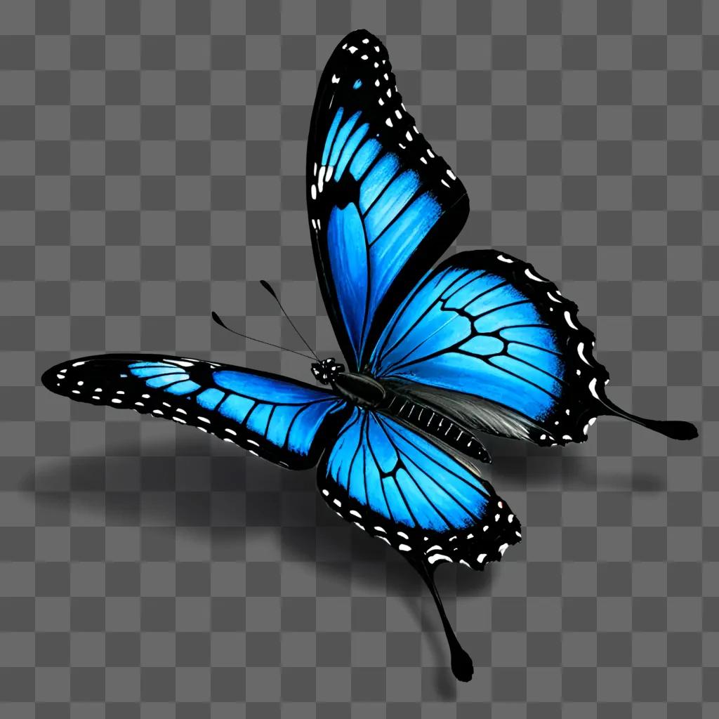 Realistic butterfly drawing with blue wings