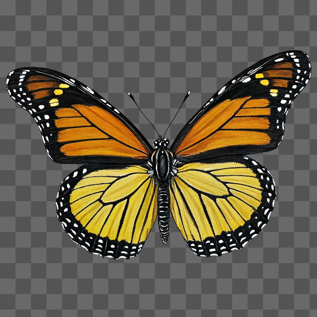 Realistic butterfly drawing with detailed wings and legs