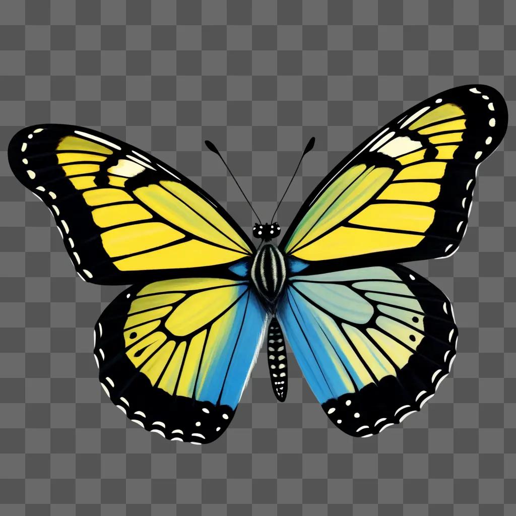 Realistic butterfly drawing with vibrant colors