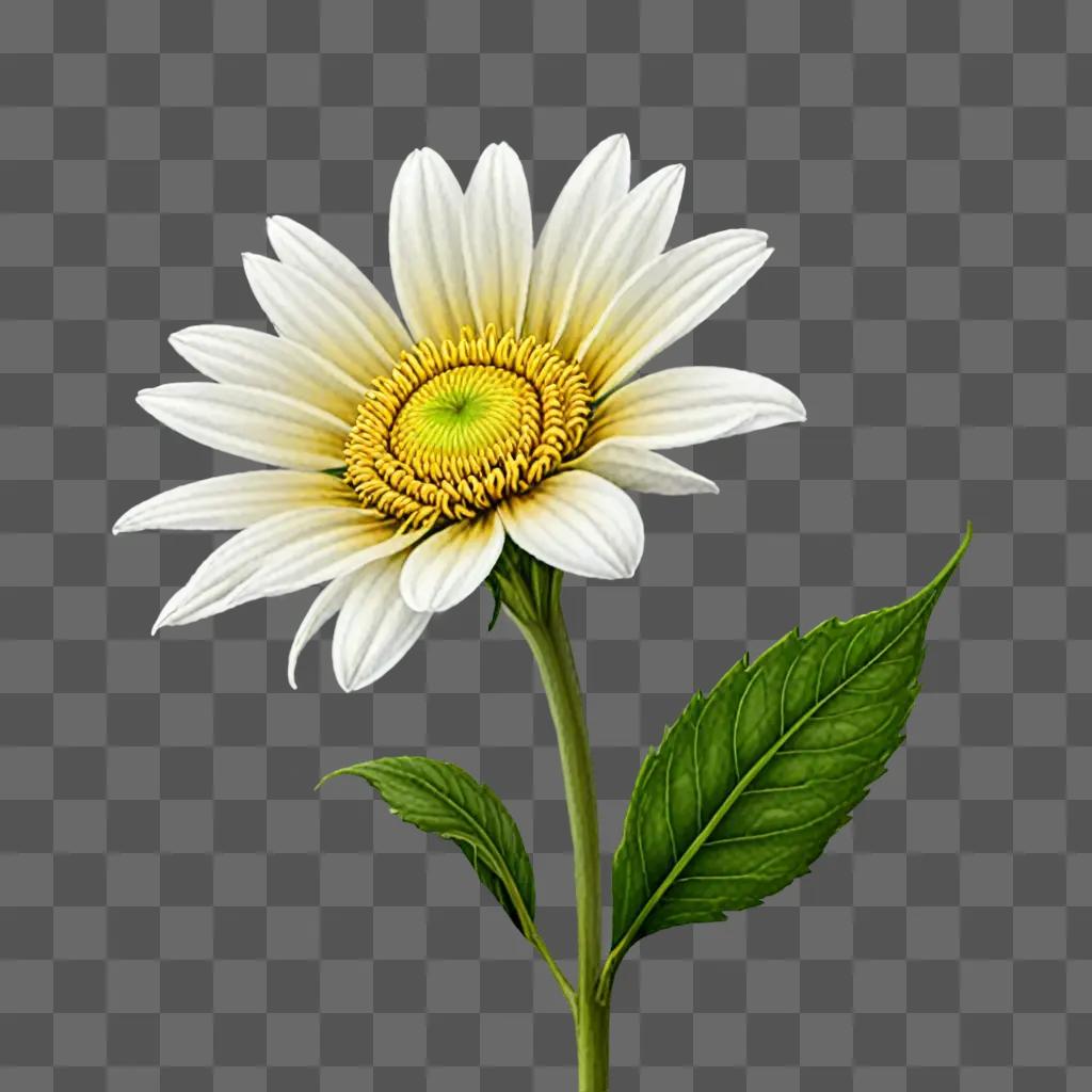 Realistic depiction of daisy flower and green leaves