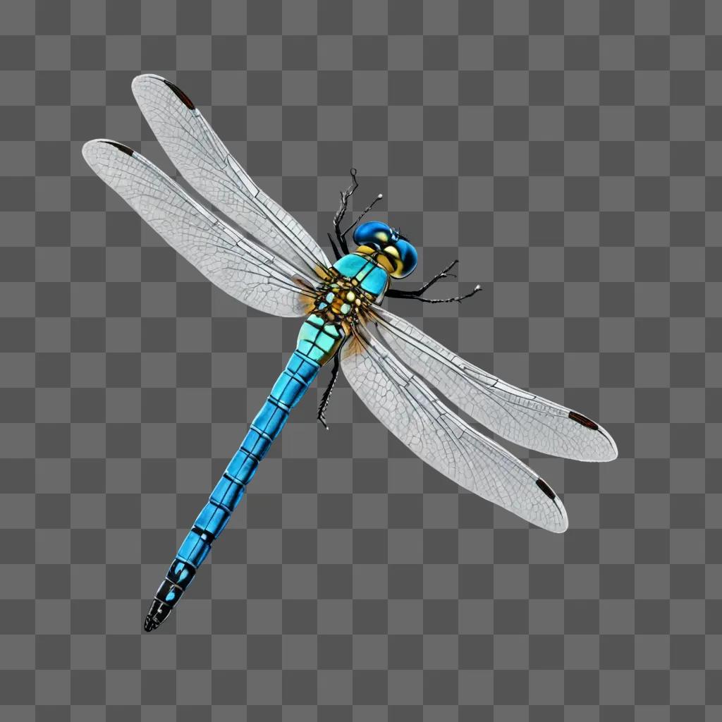 Realistic dragonfly drawing of blue and yellow dragonfly with black wings