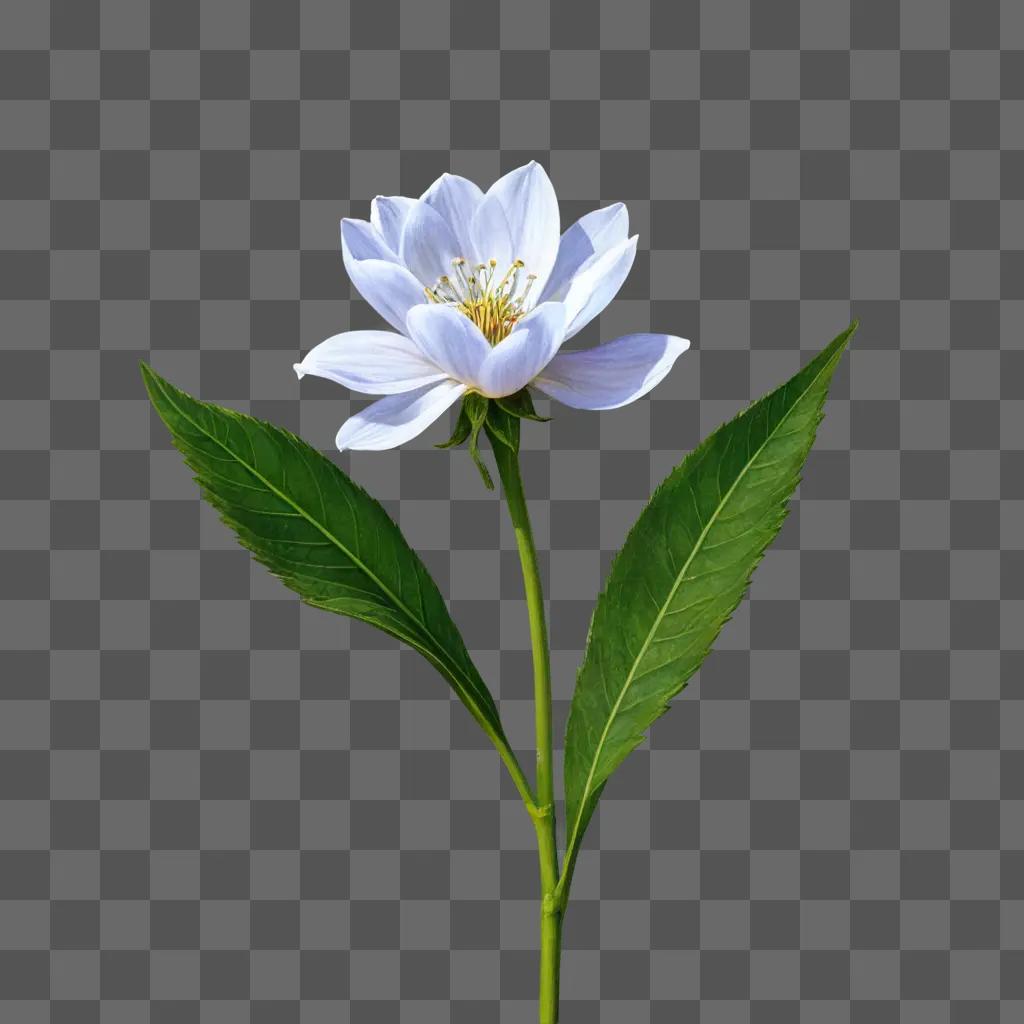 Realistic flower drawing of white flower with green leaves