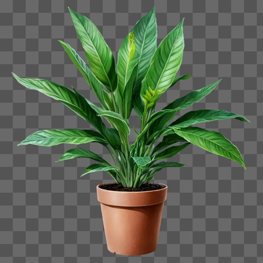 茶色の鉢に描かれたリアルな植物