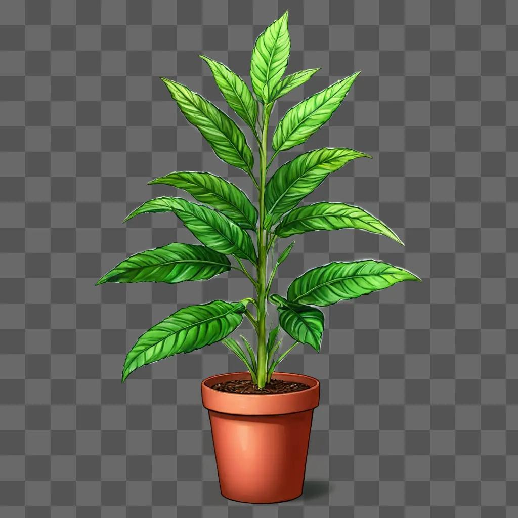 Realistic plant drawing of a green leafy plant in a pot