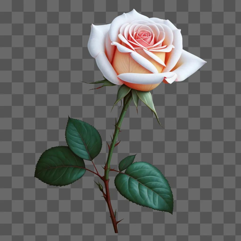 Realistic rose drawing on a light background