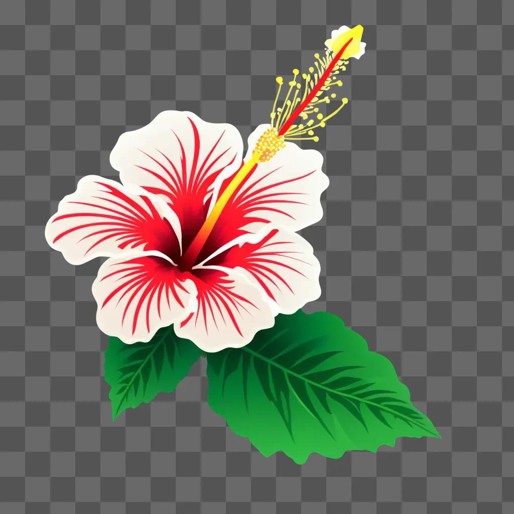 Red and white hibiscus with yellow flower