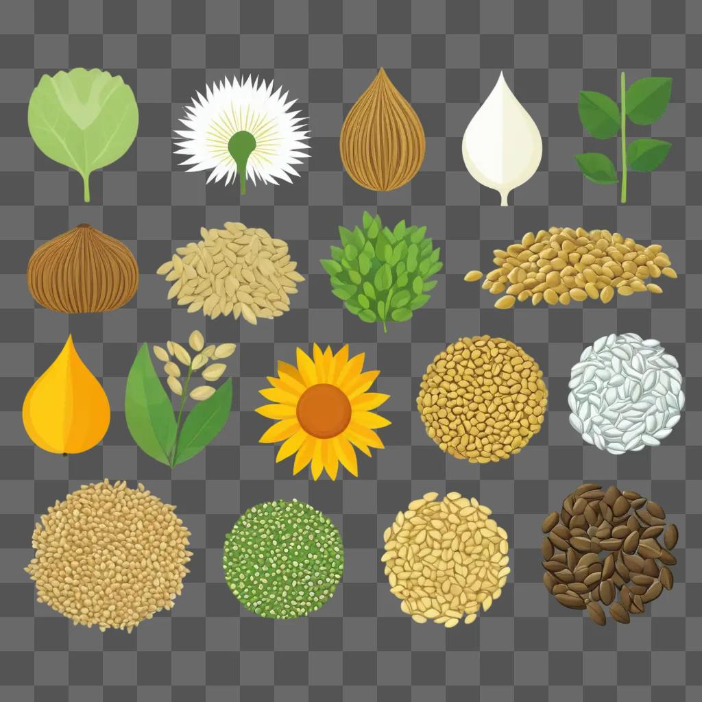 Seeds and plants in various shapes and colors