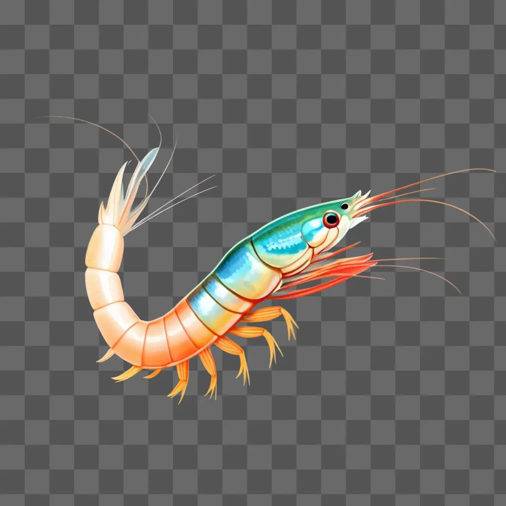 Shrimp on a beige background with a blue and orange tail