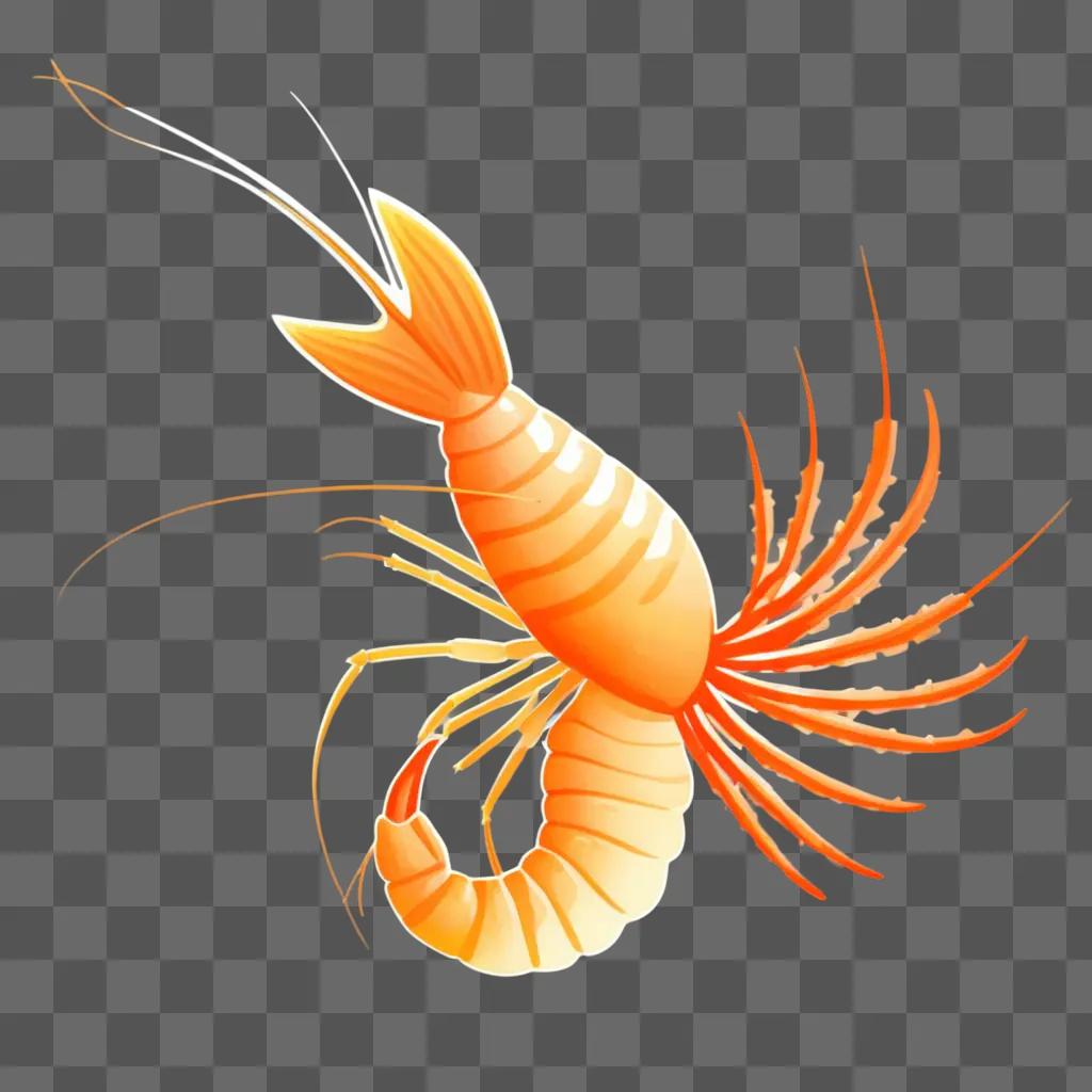 Shrimp with orange and yellow stripes