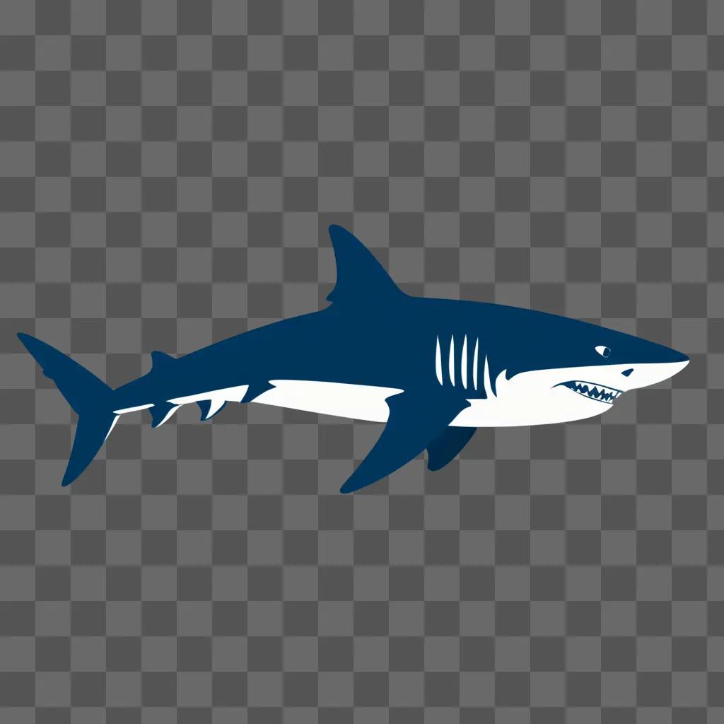 Side of shark drawing on blue background