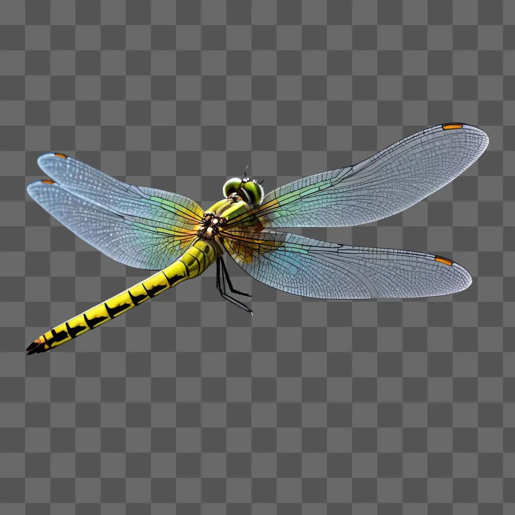 Side view of a dragonfly with long wings and yellow and black colors