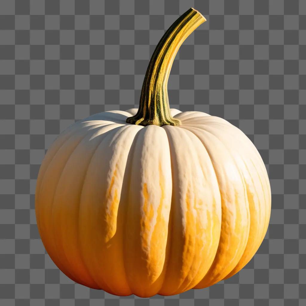 Side view of a drawing of a white pumpkin