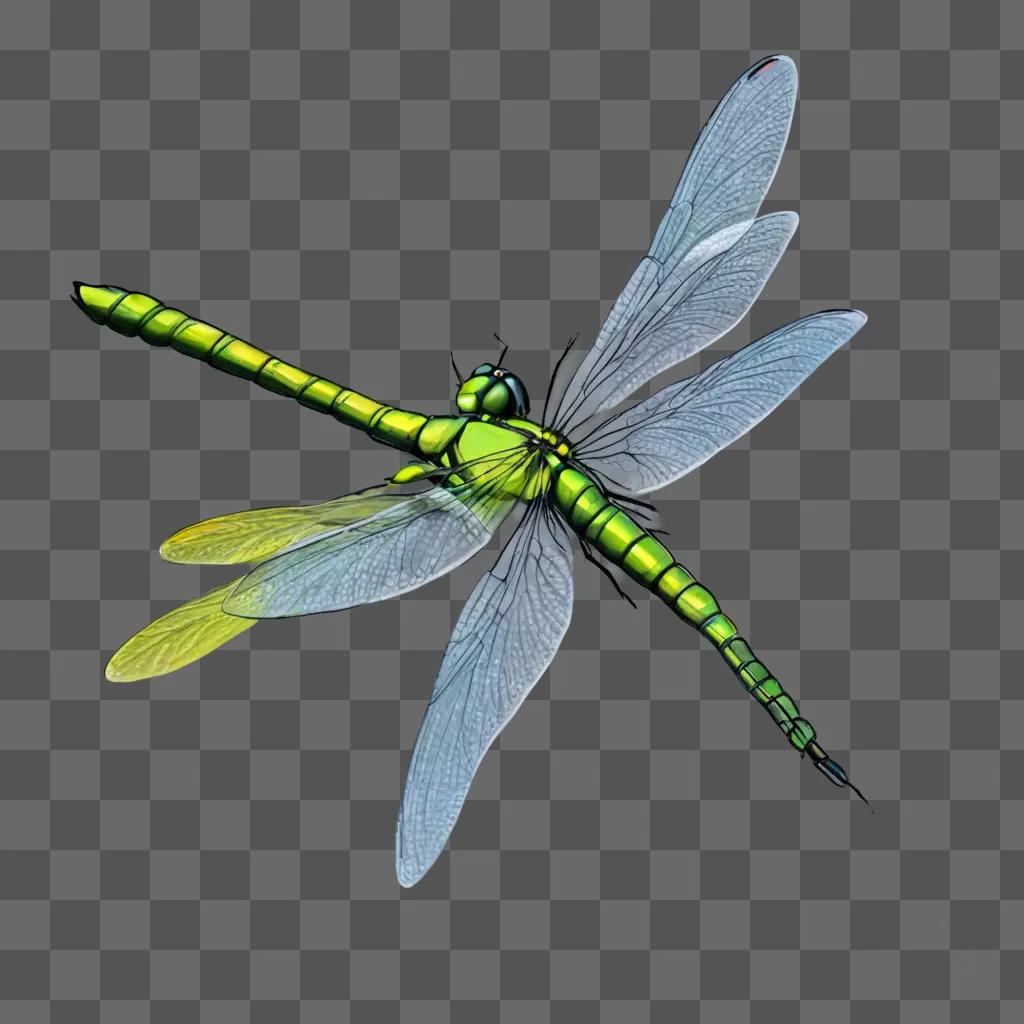 Side view of dragonfly on a green background