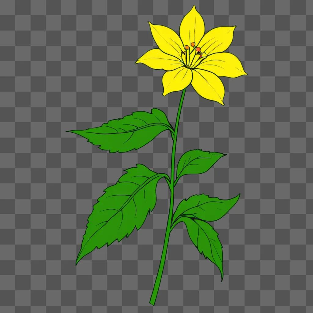 Simple drawing of a flower on a green background