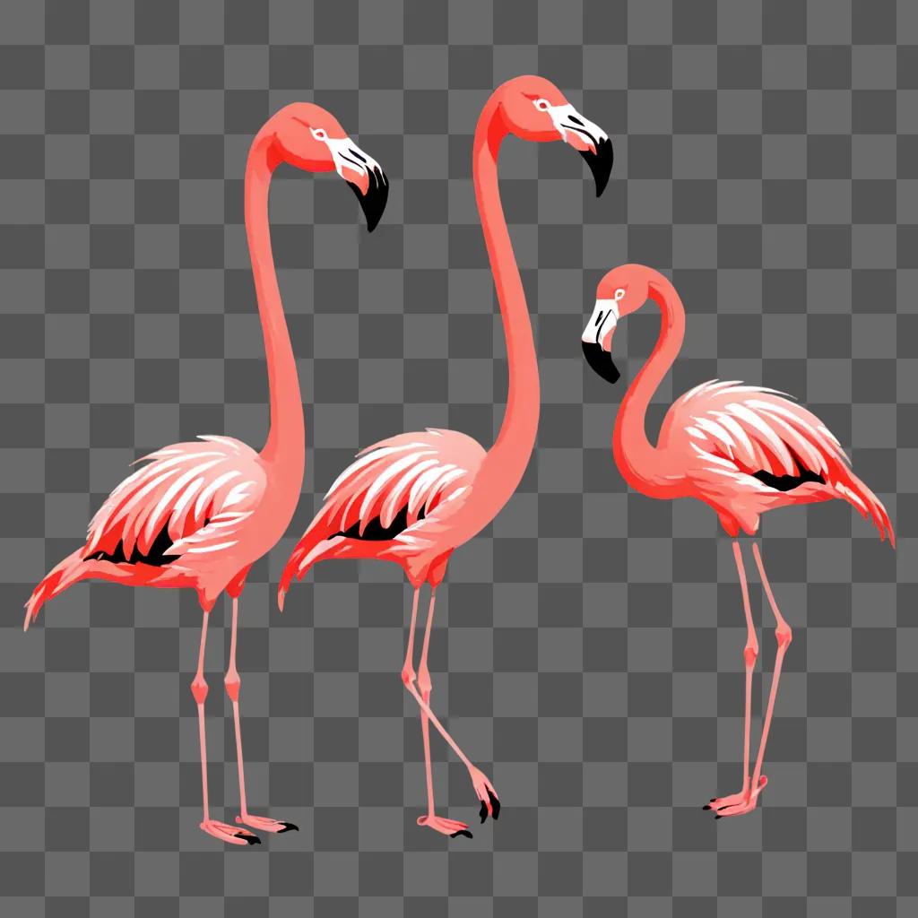 Simple flamingos drawing on pink background