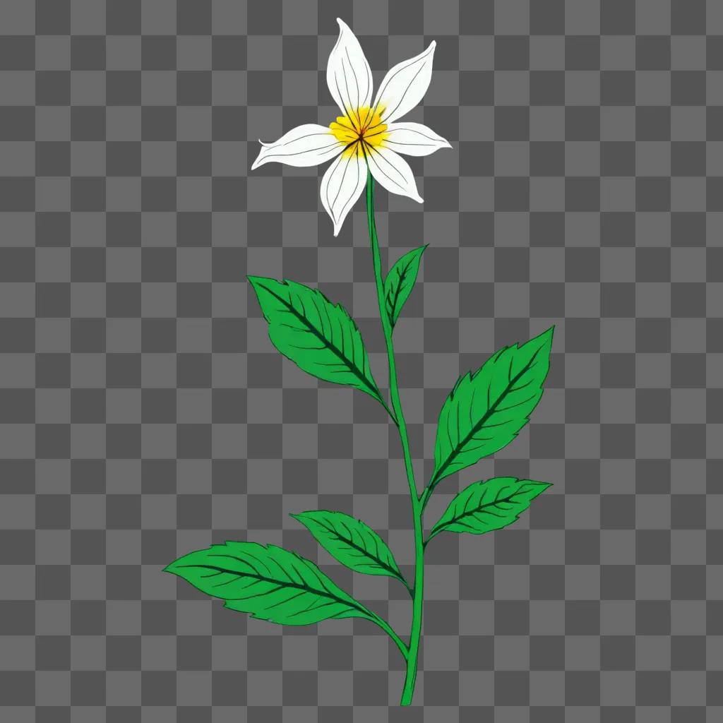 Simple flower drawing on green background