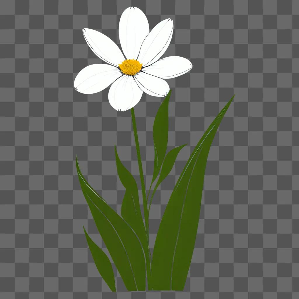 Simple flower drawing on green background