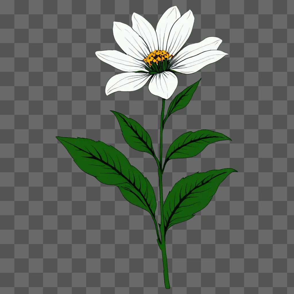 Simple flower drawing with green background