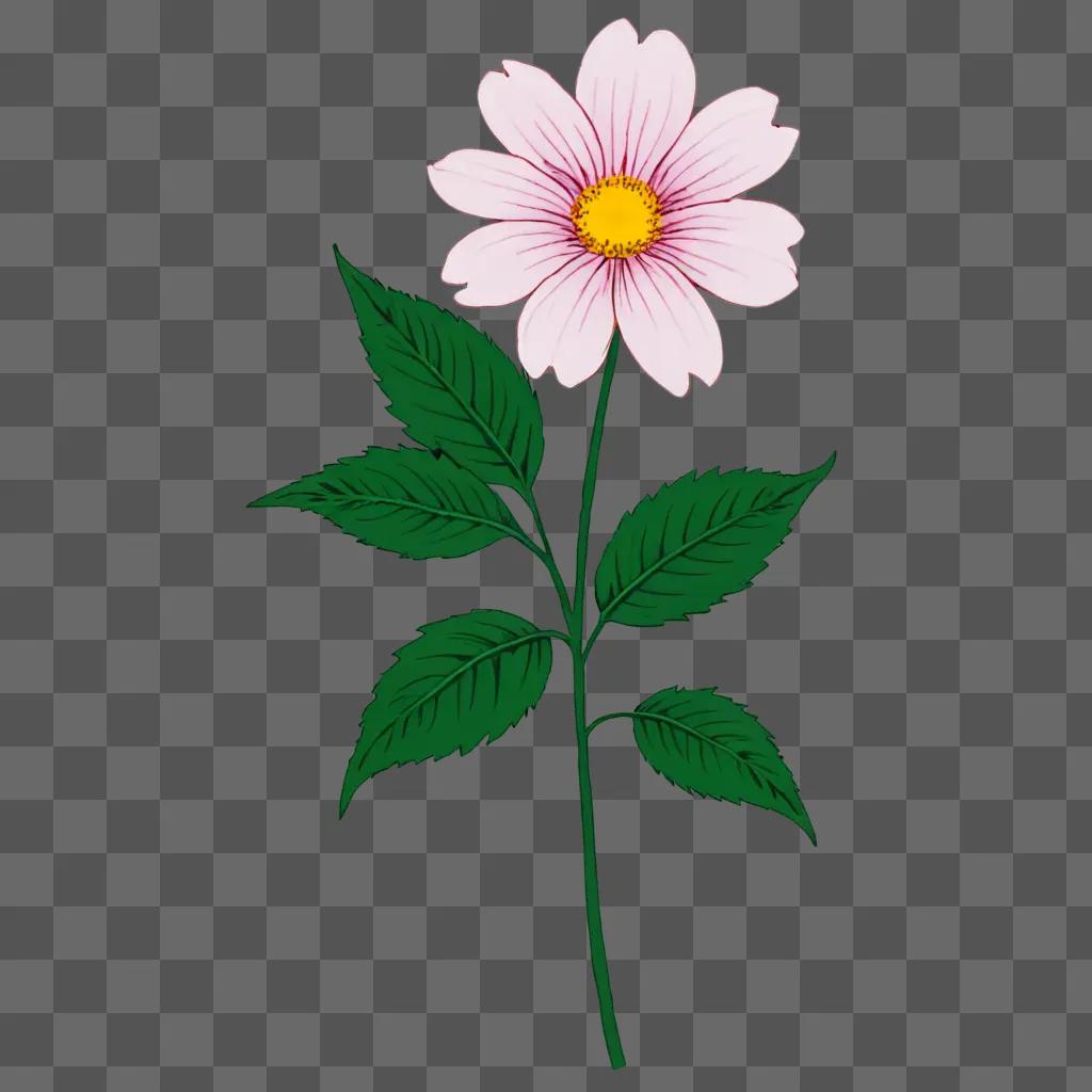 Simple flower drawing with green background