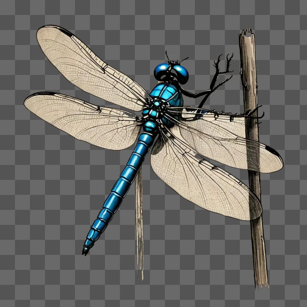 Sketch of a blue dragonfly on a stick