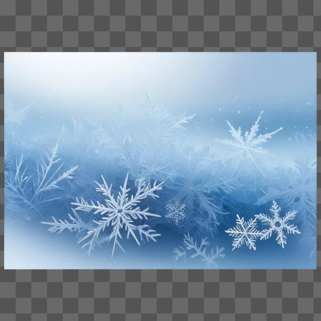 Snowflakes frosty against a transparent backdrop