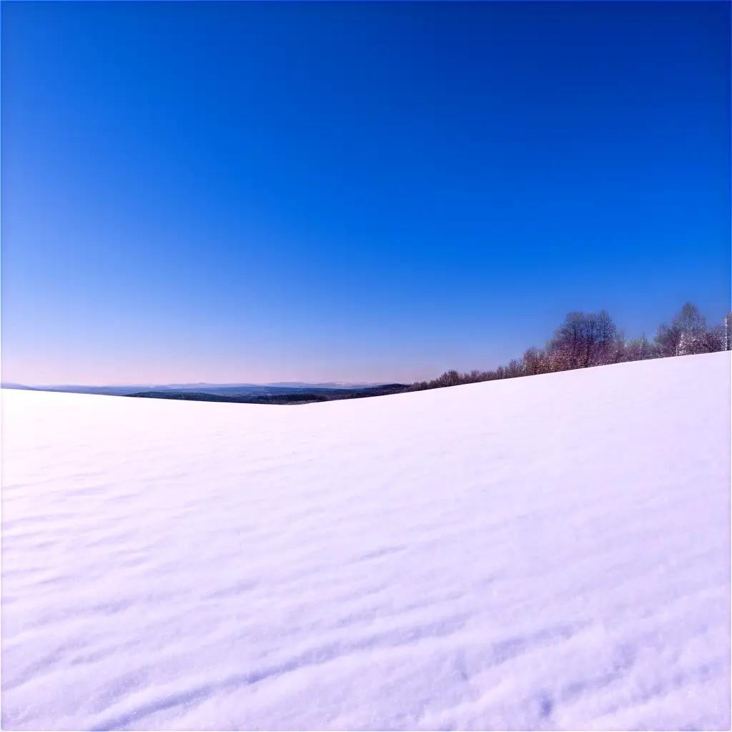 青い空と木々が生い茂る雪の丘