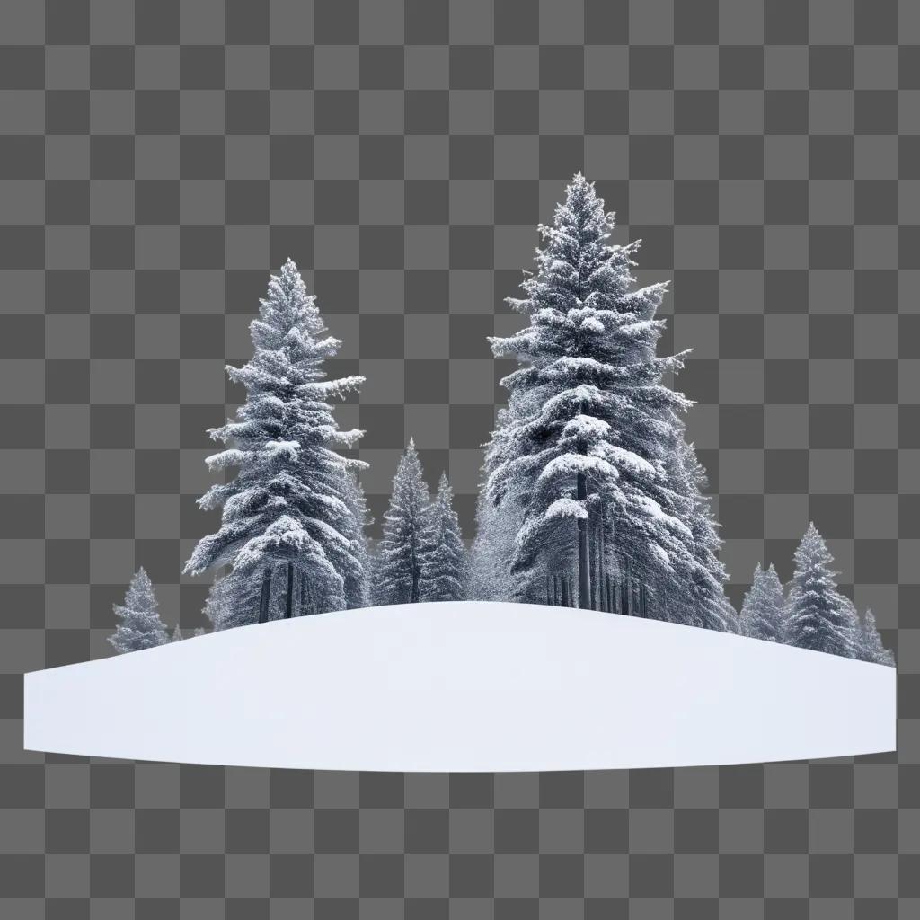 黒と白の雪に覆われた松の木