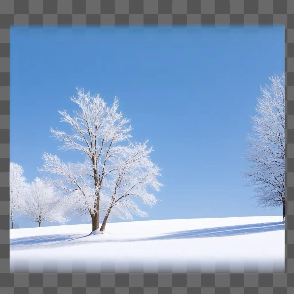 冬の風景に映る雪の木々