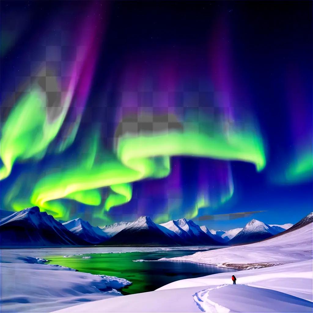 Spectacular northern lights dance over snowy landscape