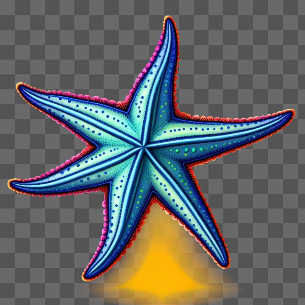 Starfish drawing with colorful outline