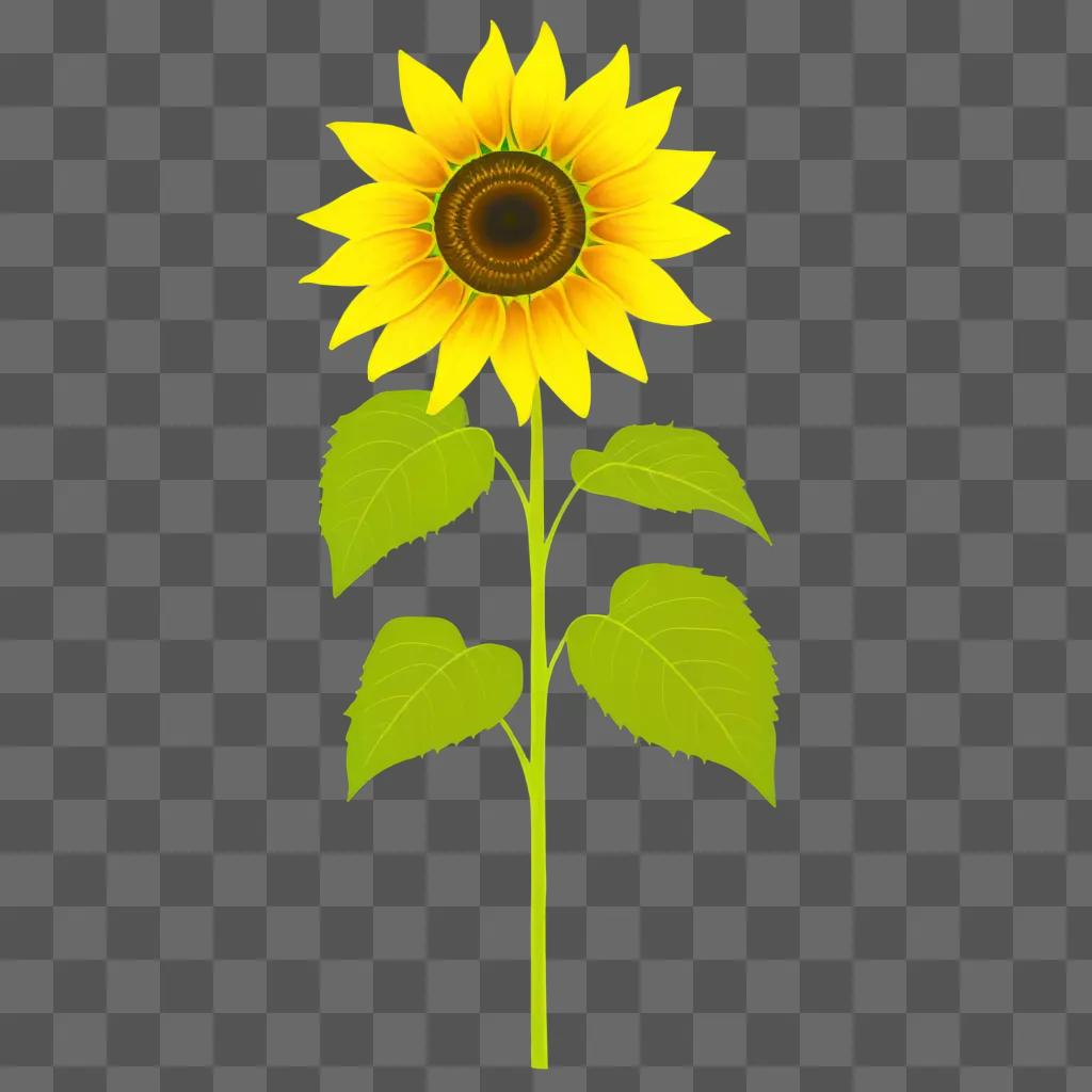 Sunflower drawing on a green background