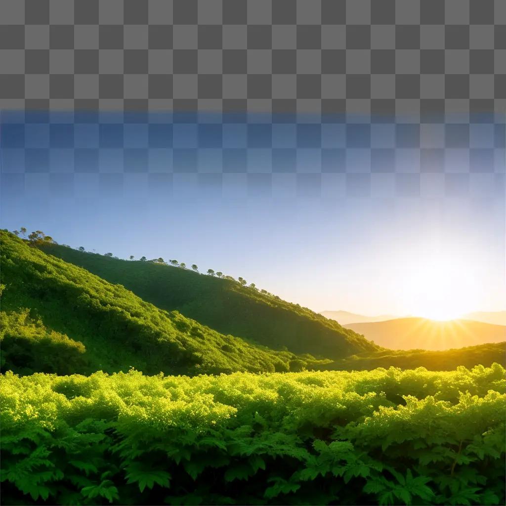 Sunlight illuminates a green landscape at dusk