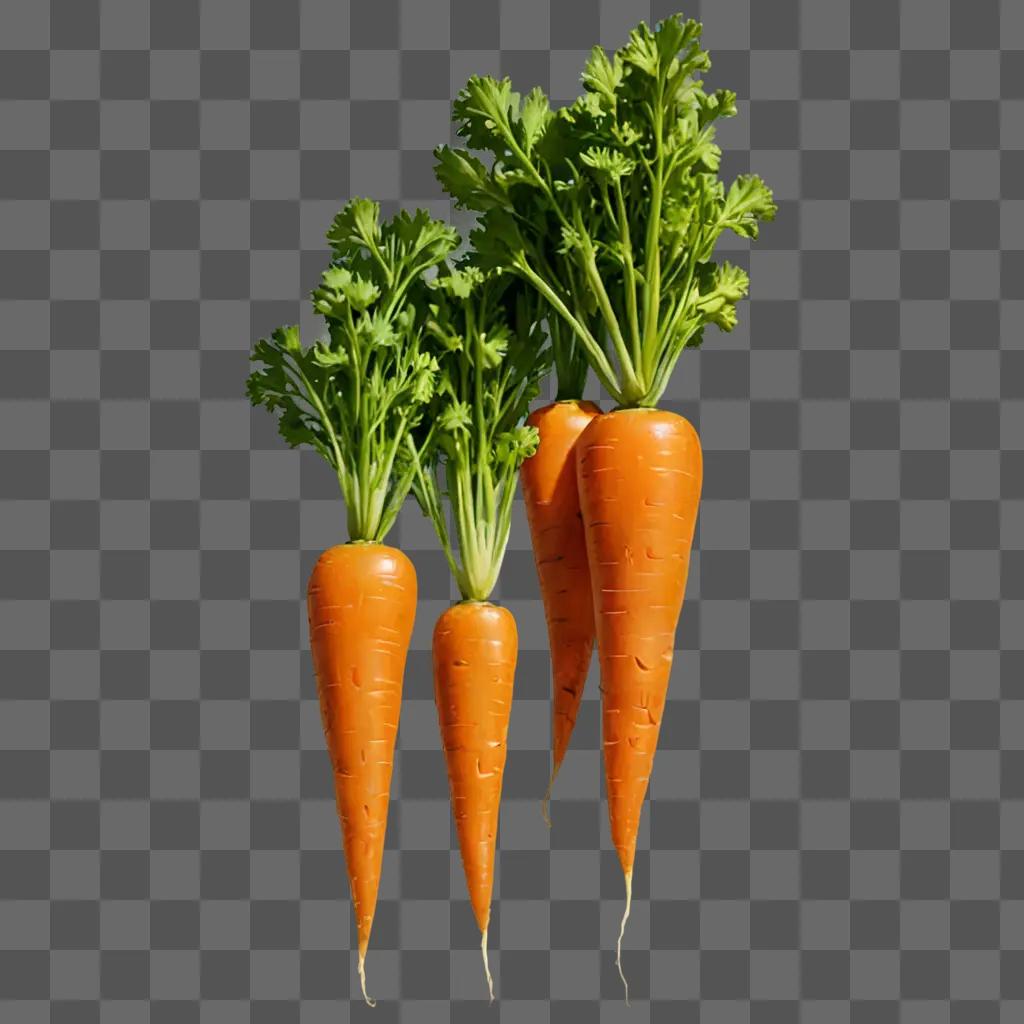 Three carrots are realistically drawn in a picture