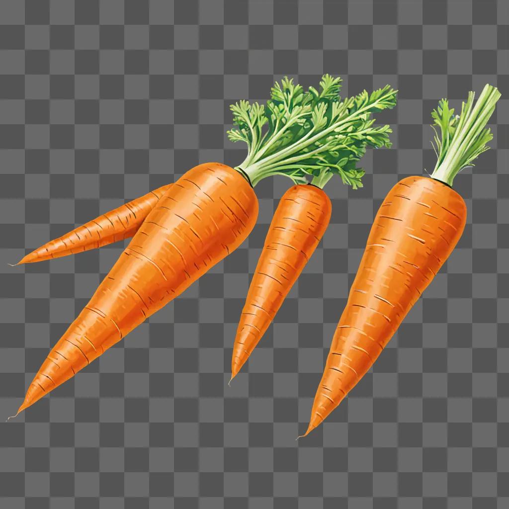 Three carrots in a drawing with colour