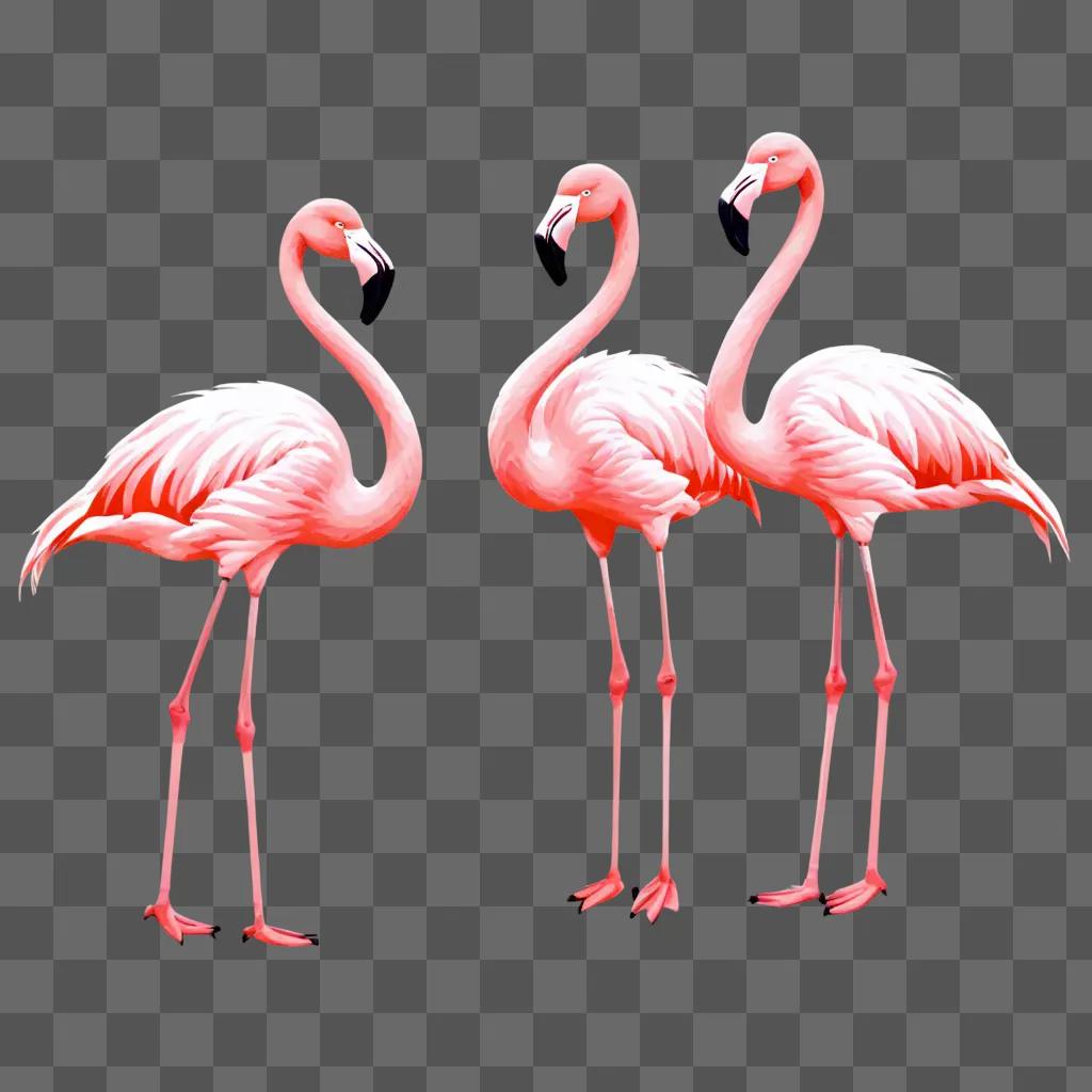 Three flamingos draw in pink hue against pink background