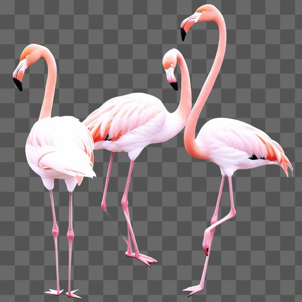 Three flamingos in a sketch drawing on pink paper