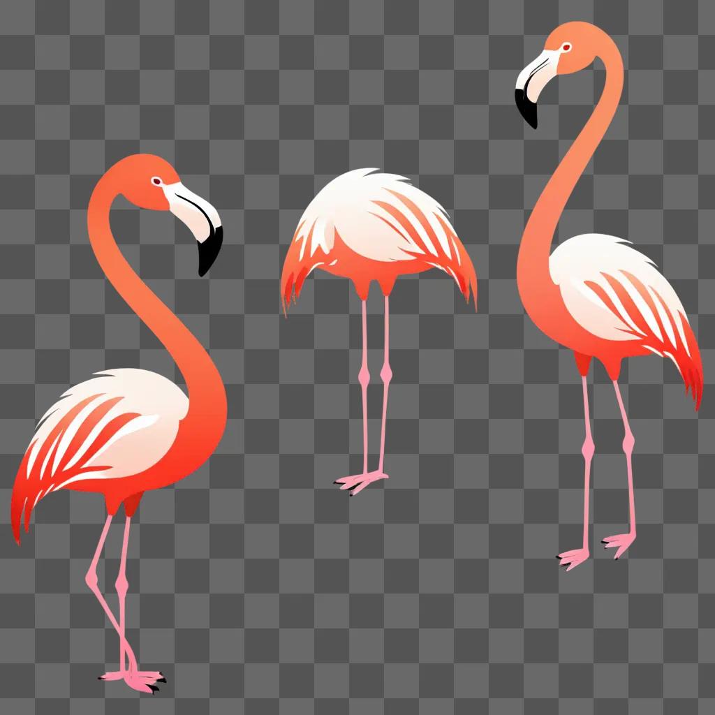 Three flamingos on a pink background with white tips