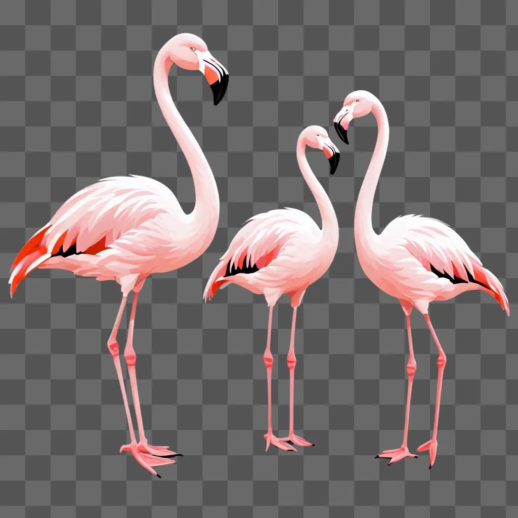 Three flamingos standing together on a pink background